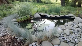 WP_20130616_068.webp