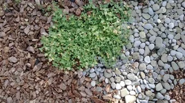 WP_20130616_050.webp