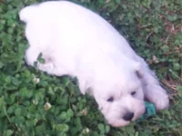 20130613_173938-799300855.webp