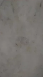 IMAG0088.webp