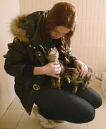 cat1.webp