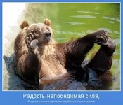motivator-15484.webp