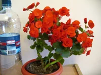 IMG_4645.webp