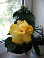 IMG_4668.webp