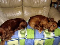 IMG_8388 - копия.webp