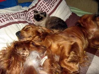 IMG_8386 - копия.webp