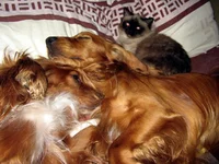 IMG_8387 - копия.webp