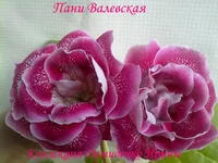 210620132820.webp