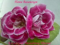 210620132821.webp