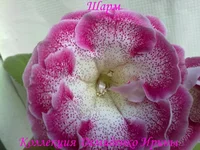 210620132824.webp