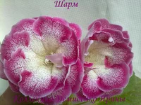210620132825.webp