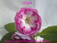 210620132826.webp