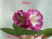 210620132829.webp