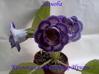 210620132832.webp