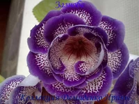 210620132843.webp