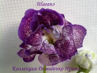 210620132852.webp