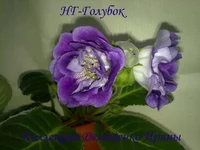 210620132861.webp