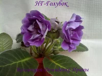 210620132864.webp