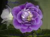 210620132867.webp