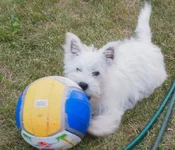P1013306.webp