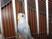 DSCN0344.webp