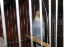 DSCN0345.webp