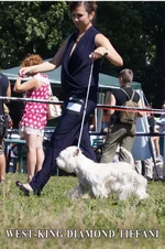 1DSC05994.webp