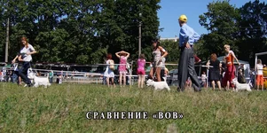 1DSC06157.webp