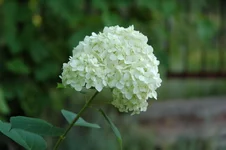 DSC_0363.webp