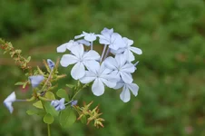 DSC_0413.jpg