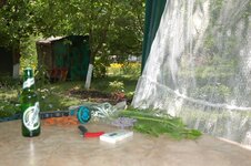 DSC_0471.jpg