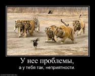 351093_u-nee-problemyi.webp