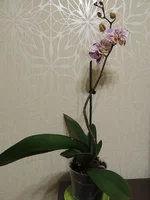 3840309.webp