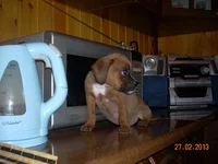 DSCN2940.webp