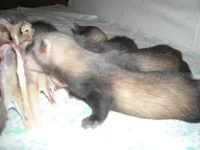 DSCN2642.jpg