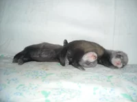 DSCN2648.jpg