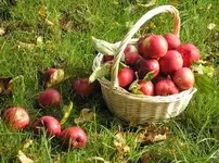 images (1).webp
