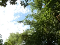 P7030019.webp