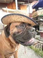 4N9oEFNB0Dw.webp