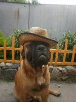 dloLaeIA0T4.webp