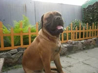 K1IteZq4_Rs.webp