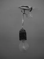 P8303740.webp