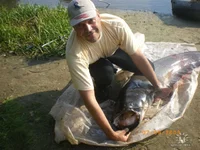 .webp