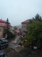 8.webp