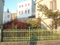 20.webp