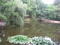 IMG_1657.JPG