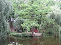 IMG_1663.JPG