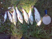 05092008097.webp