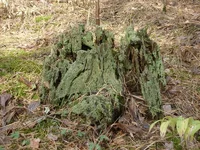 DSC04010_resize.webp