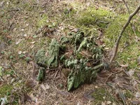 DSC04013_resize.webp